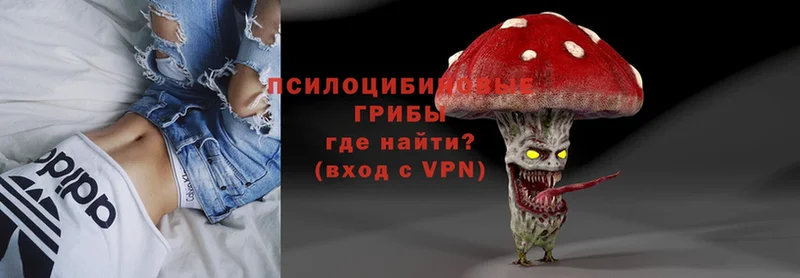 как найти закладки  Радужный  Галлюциногенные грибы Cubensis 